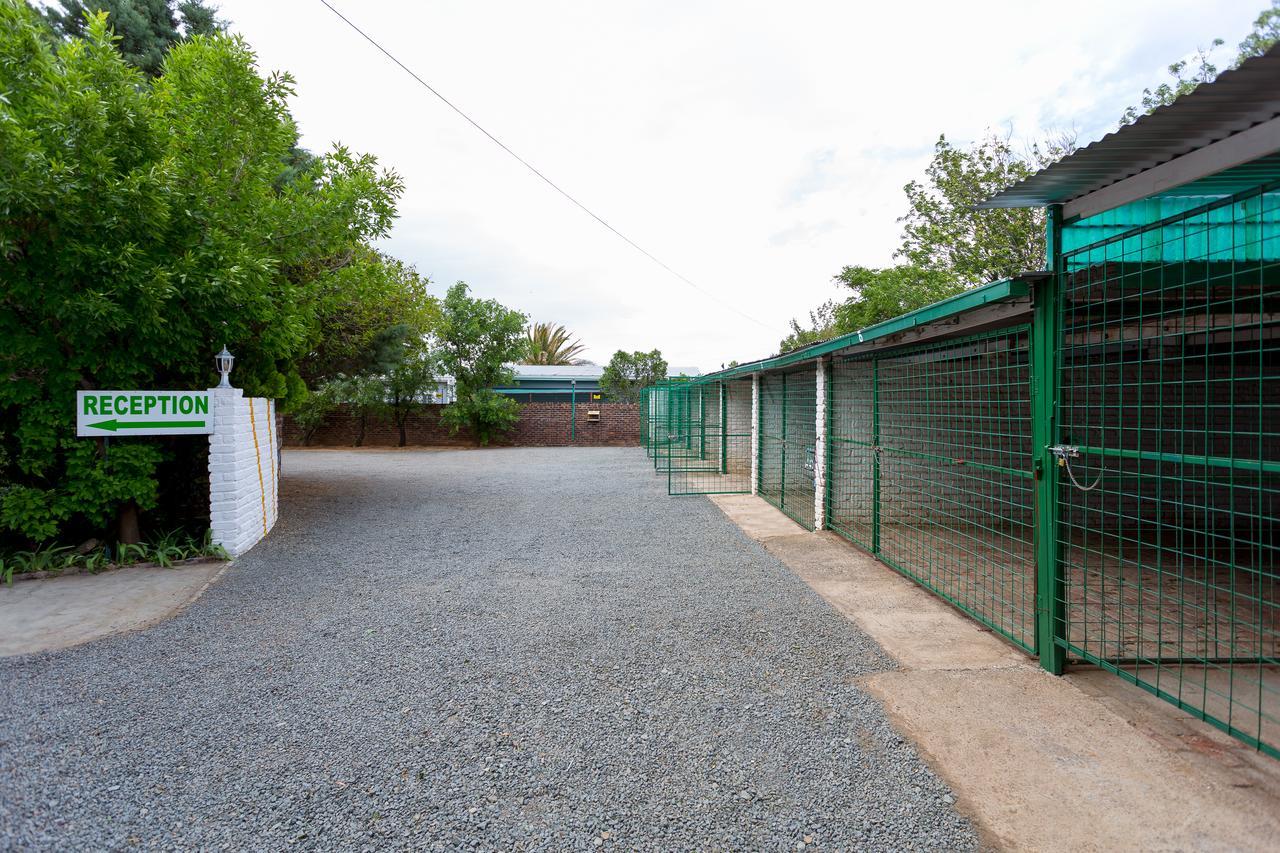 Colesview Guest House Colesberg Exterior photo